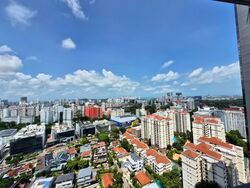 Stirling Residences (D3), Apartment #566447741